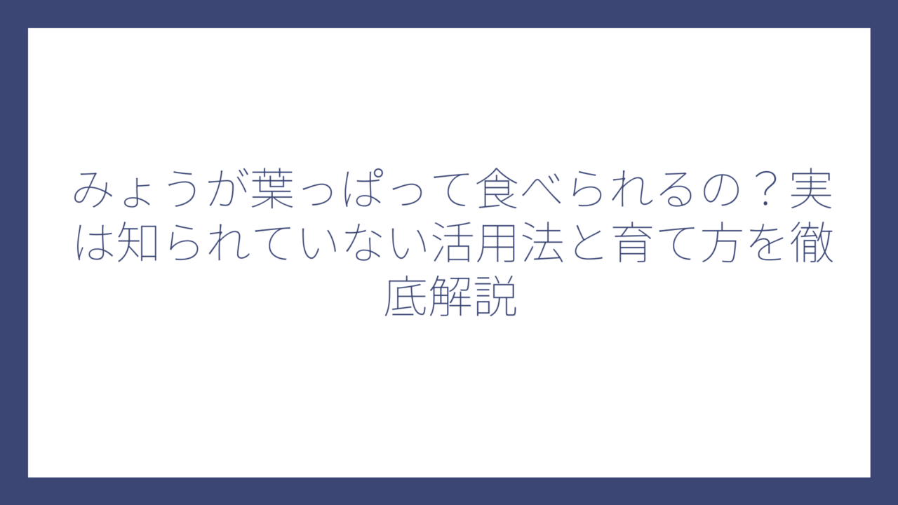 みょうが葉っぱって食べられるの？実は知られていない活用法と育て方を徹底解説