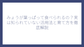 みょうが葉っぱって食べられるの？実は知られていない活用法と育て方を徹底解説