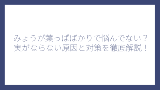 みょうが葉っぱばかりで悩んでない？実がならない原因と対策を徹底解説！