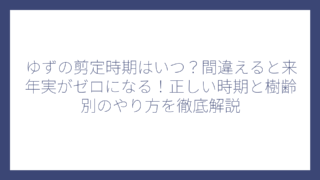 ゆずの剪定時期はいつ？間違えると来年実がゼロになる！正しい時期と樹齢別のやり方を徹底解説