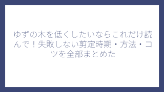 ゆずの木を低くしたいならこれだけ読んで！失敗しない剪定時期・方法・コツを全部まとめた