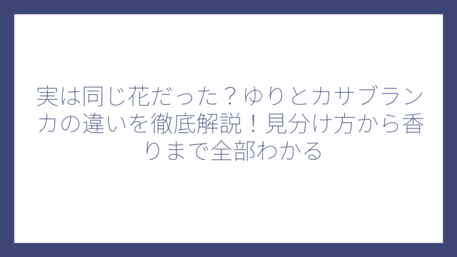 実は同じ花だった？ゆりとカサブランカの違いを徹底解説！見分け方から香りまで全部わかる