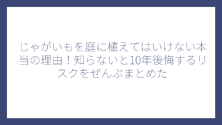 じゃがいもを庭に植えてはいけない本当の理由！知らないと10年後悔するリスクをぜんぶまとめた