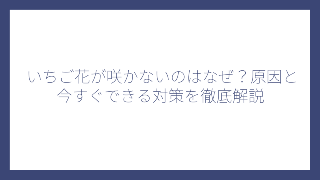 いちご花が咲かないのはなぜ？原因と今すぐできる対策を徹底解説