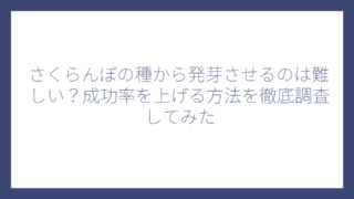 さくらんぼの種から発芽させるのは難しい？成功率を上げる方法を徹底調査してみた