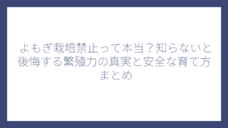 よもぎ栽培禁止って本当？知らないと後悔する繁殖力の真実と安全な育て方まとめ