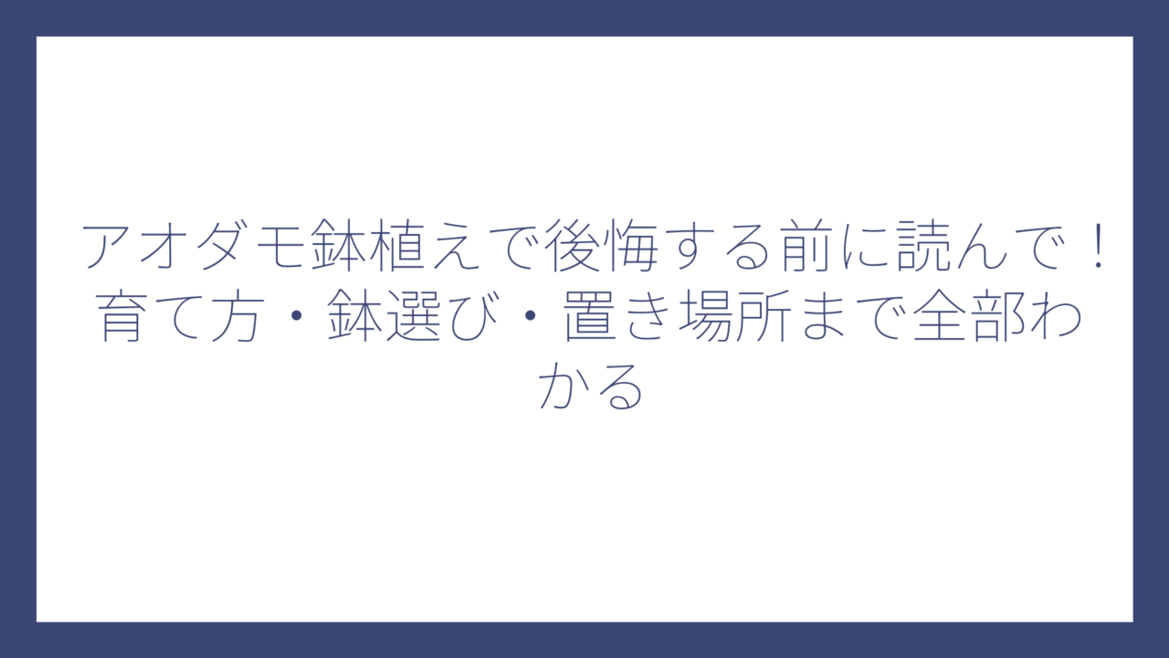 アオダモ鉢植えで後悔する前に読んで！育て方・鉢選び・置き場所まで全部わかる