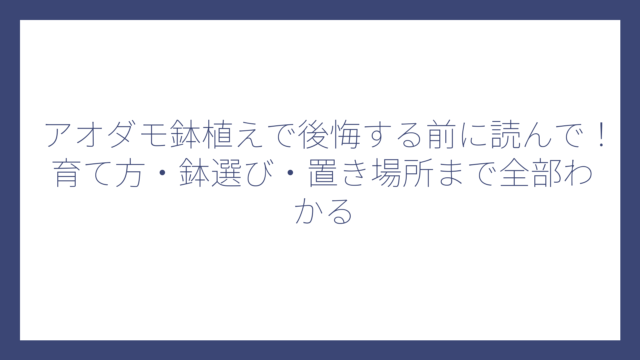 アオダモ鉢植えで後悔する前に読んで！育て方・鉢選び・置き場所まで全部わかる
