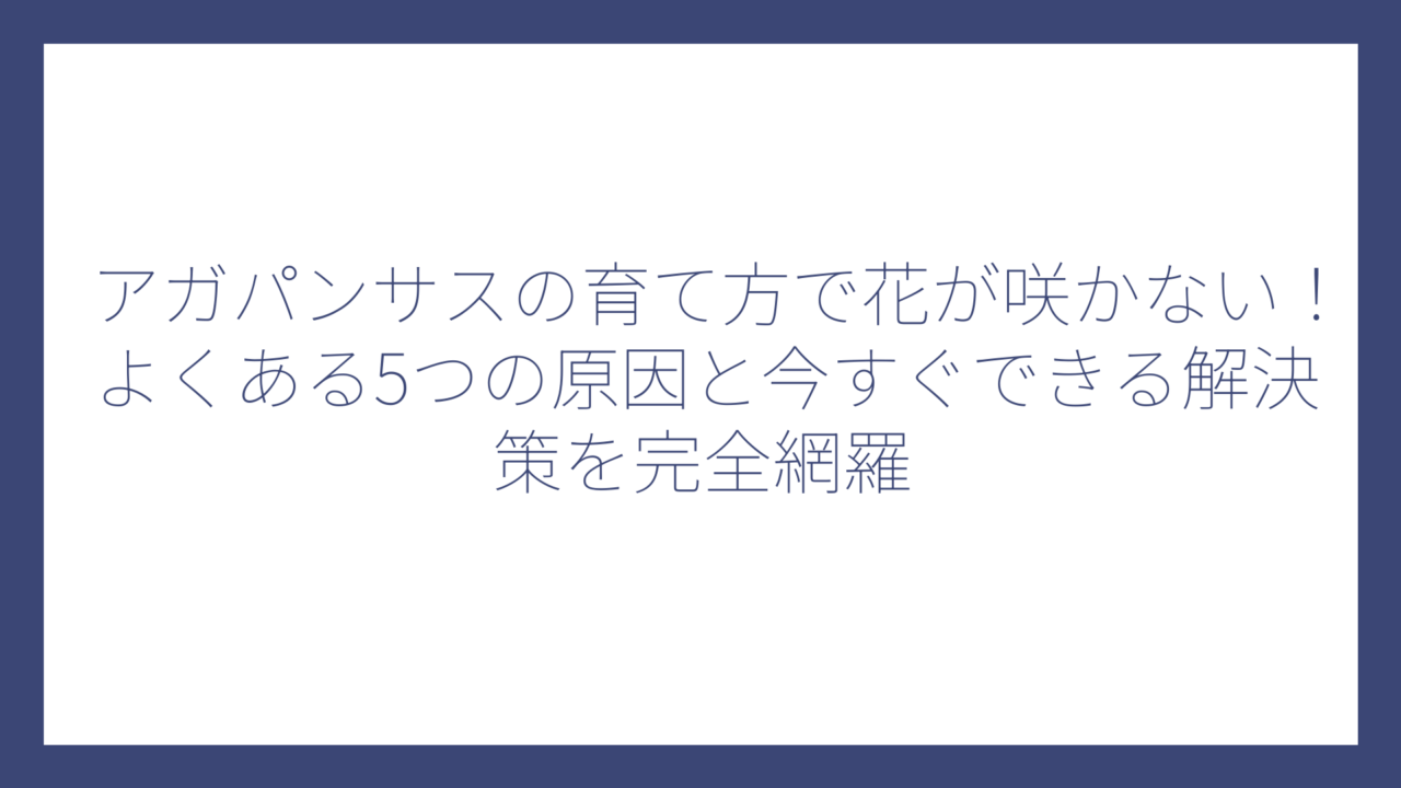 アガパンサスの育て方で花が咲かない！よくある5つの原因と今すぐできる解決策を完全網羅