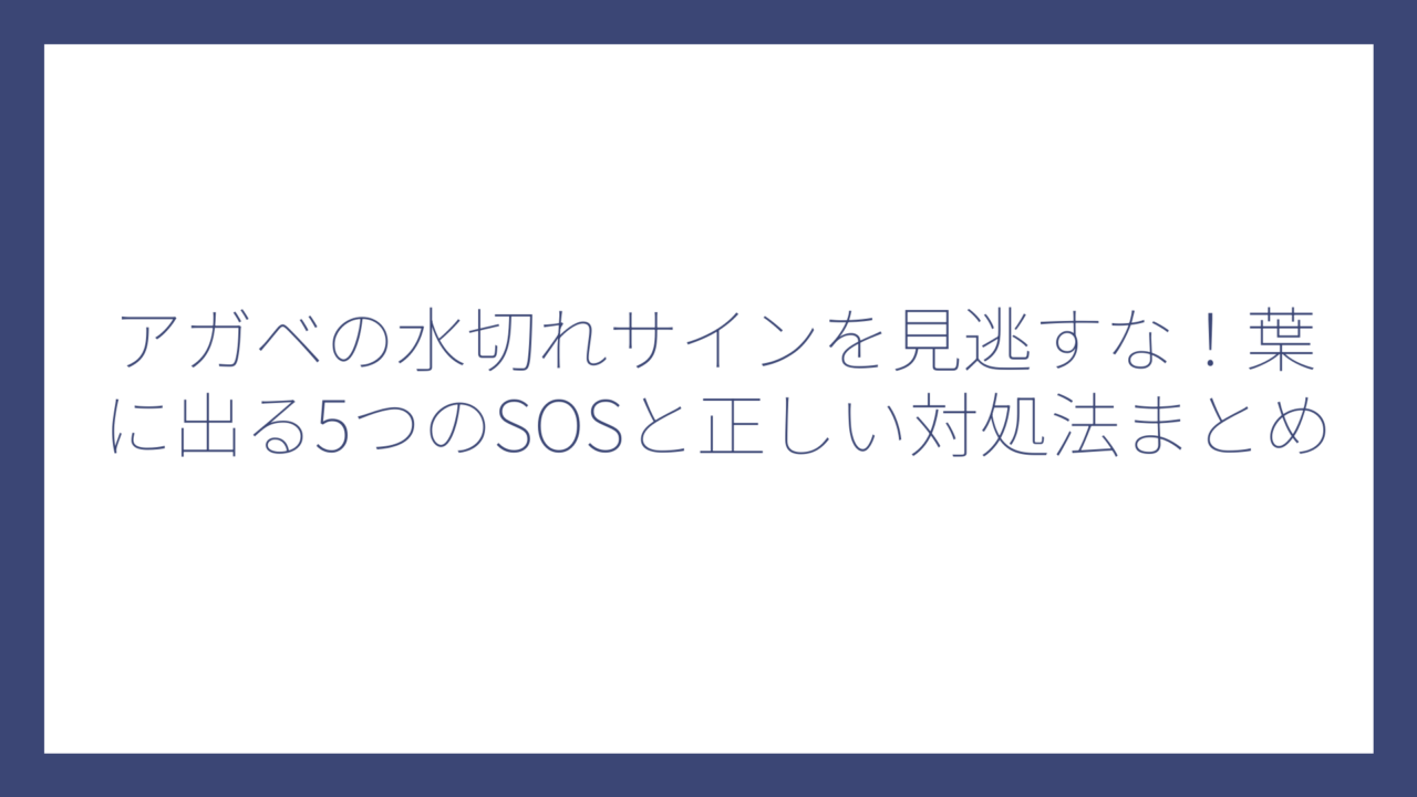 アガベの水切れサインを見逃すな！葉に出る5つのSOSと正しい対処法まとめ