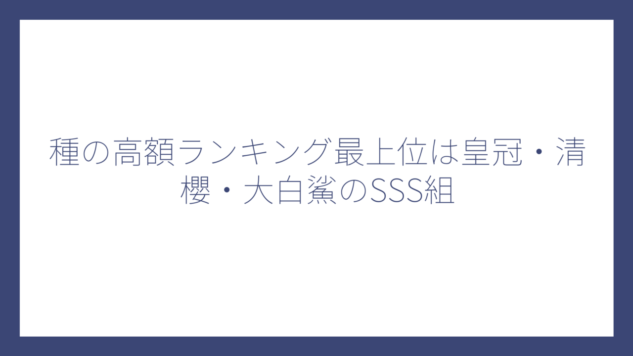 種の高額ランキング最上位は皇冠・清櫻・大白鯊のSSS組