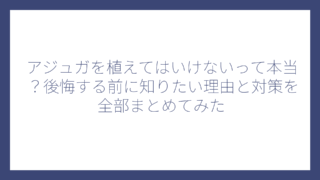 アジュガを植えてはいけないって本当？後悔する前に知りたい理由と対策を全部まとめてみた