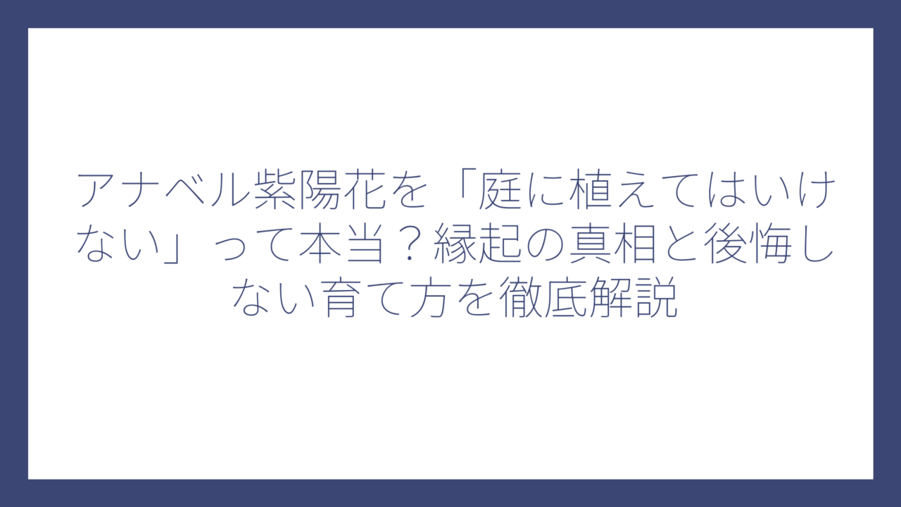 アナベル紫陽花を「庭に植えてはいけない」って本当？縁起の真相と後悔しない育て方を徹底解説