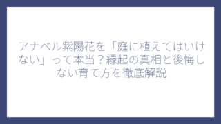 アナベル紫陽花を「庭に植えてはいけない」って本当？縁起の真相と後悔しない育て方を徹底解説