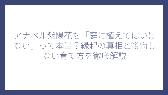 アナベル紫陽花を「庭に植えてはいけない」って本当？縁起の真相と後悔しない育て方を徹底解説