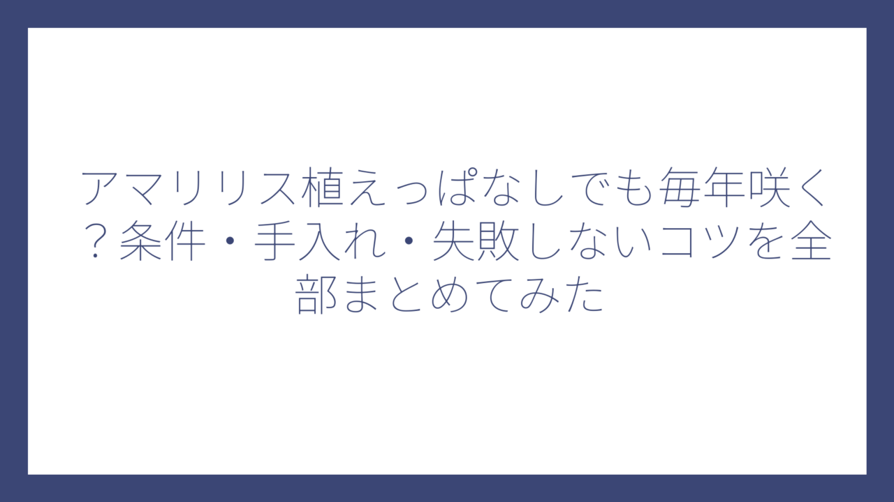 アマリリス植えっぱなしでも毎年咲く？条件・手入れ・失敗しないコツを全部まとめてみた