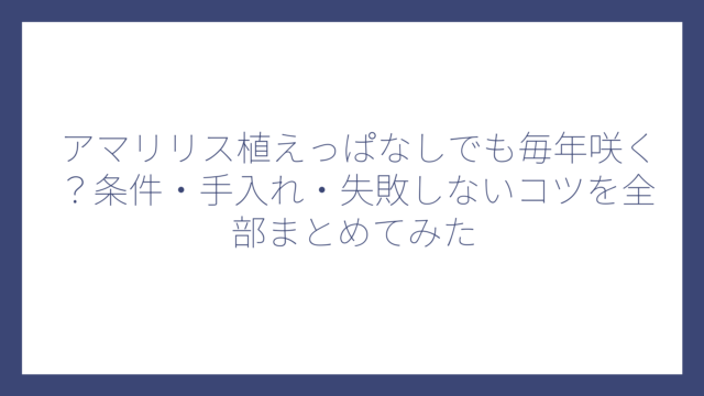 アマリリス植えっぱなしでも毎年咲く？条件・手入れ・失敗しないコツを全部まとめてみた