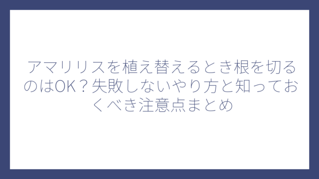 アマリリスを植え替えるとき根を切るのはOK？失敗しないやり方と知っておくべき注意点まとめ