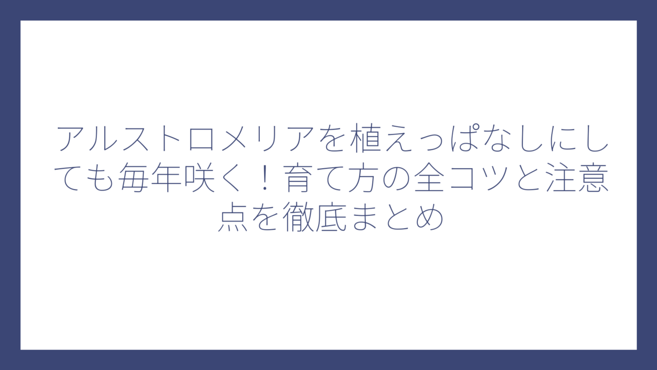 アルストロメリアを植えっぱなしにしても毎年咲く！育て方の全コツと注意点を徹底まとめ