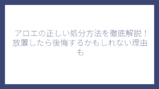 アロエの正しい処分方法を徹底解説！放置したら後悔するかもしれない理由も
