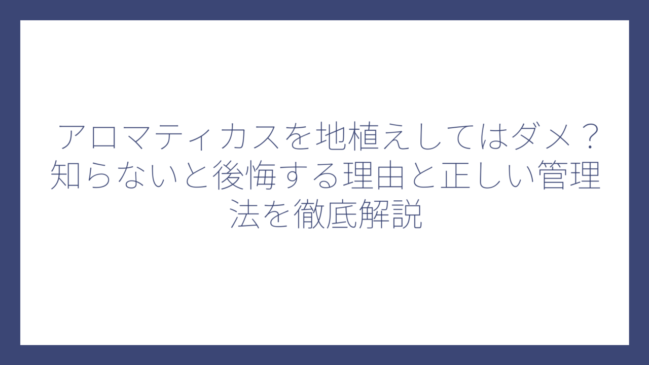 アロマティカスを地植えしてはダメ？知らないと後悔する理由と正しい管理法を徹底解説