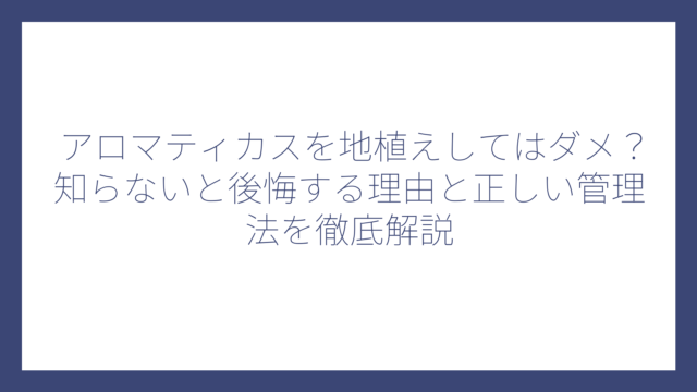 アロマティカスを地植えしてはダメ？知らないと後悔する理由と正しい管理法を徹底解説