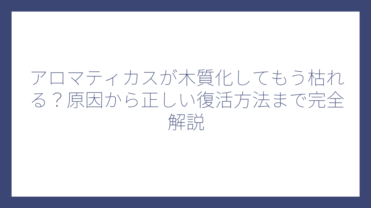 アロマティカスが木質化してもう枯れる？原因から正しい復活方法まで完全解説