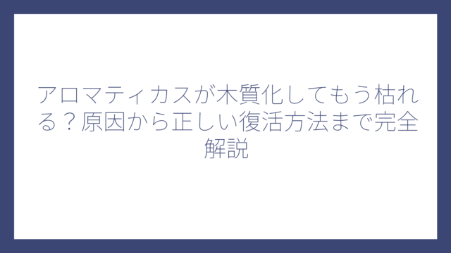 アロマティカスが木質化してもう枯れる？原因から正しい復活方法まで完全解説