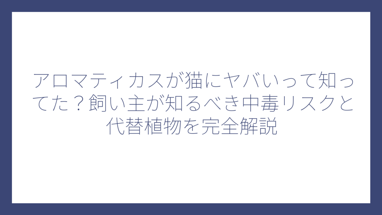 アロマティカスが猫にヤバいって知ってた？飼い主が知るべき中毒リスクと代替植物を完全解説