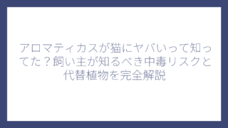 アロマティカスが猫にヤバいって知ってた？飼い主が知るべき中毒リスクと代替植物を完全解説