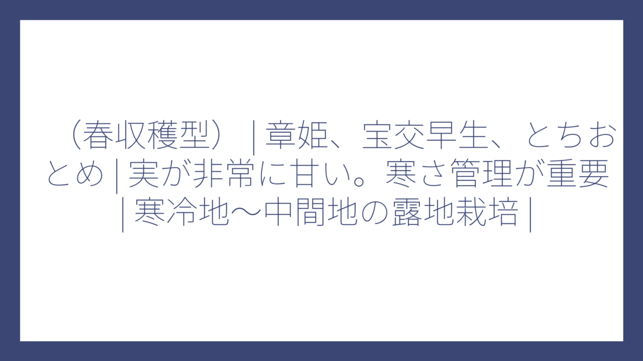 （春収穫型） | 章姫、宝交早生、とちおとめ | 実が非常に甘い。寒さ管理が重要 | 寒冷地〜中間地の露地栽培 |