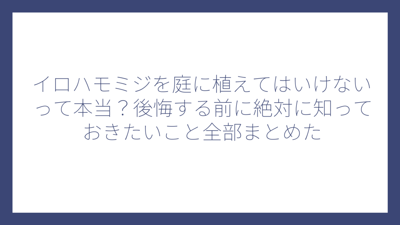イロハモミジを庭に植えてはいけないって本当？後悔する前に絶対に知っておきたいこと全部まとめた