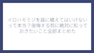 イロハモミジを庭に植えてはいけないって本当？後悔する前に絶対に知っておきたいこと全部まとめた
