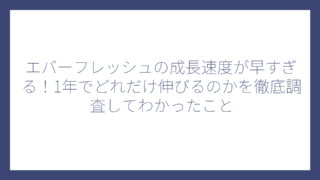 エバーフレッシュの成長速度が早すぎる！1年でどれだけ伸びるのかを徹底調査してわかったこと