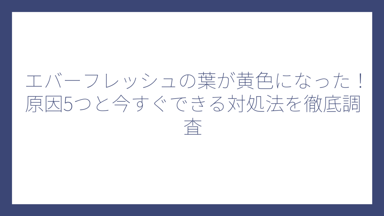 エバーフレッシュの葉が黄色になった！原因5つと今すぐできる対処法を徹底調査