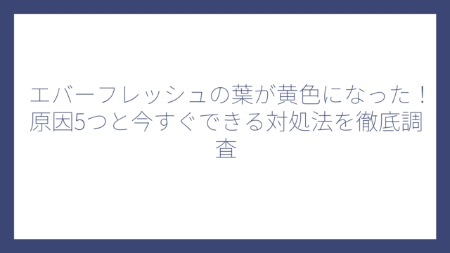 エバーフレッシュの葉が黄色になった！原因5つと今すぐできる対処法を徹底調査