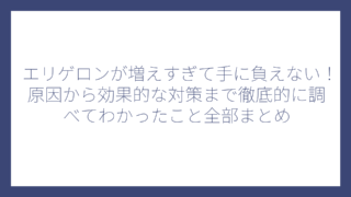 エリゲロンが増えすぎて手に負えない！原因から効果的な対策まで徹底的に調べてわかったこと全部まとめ