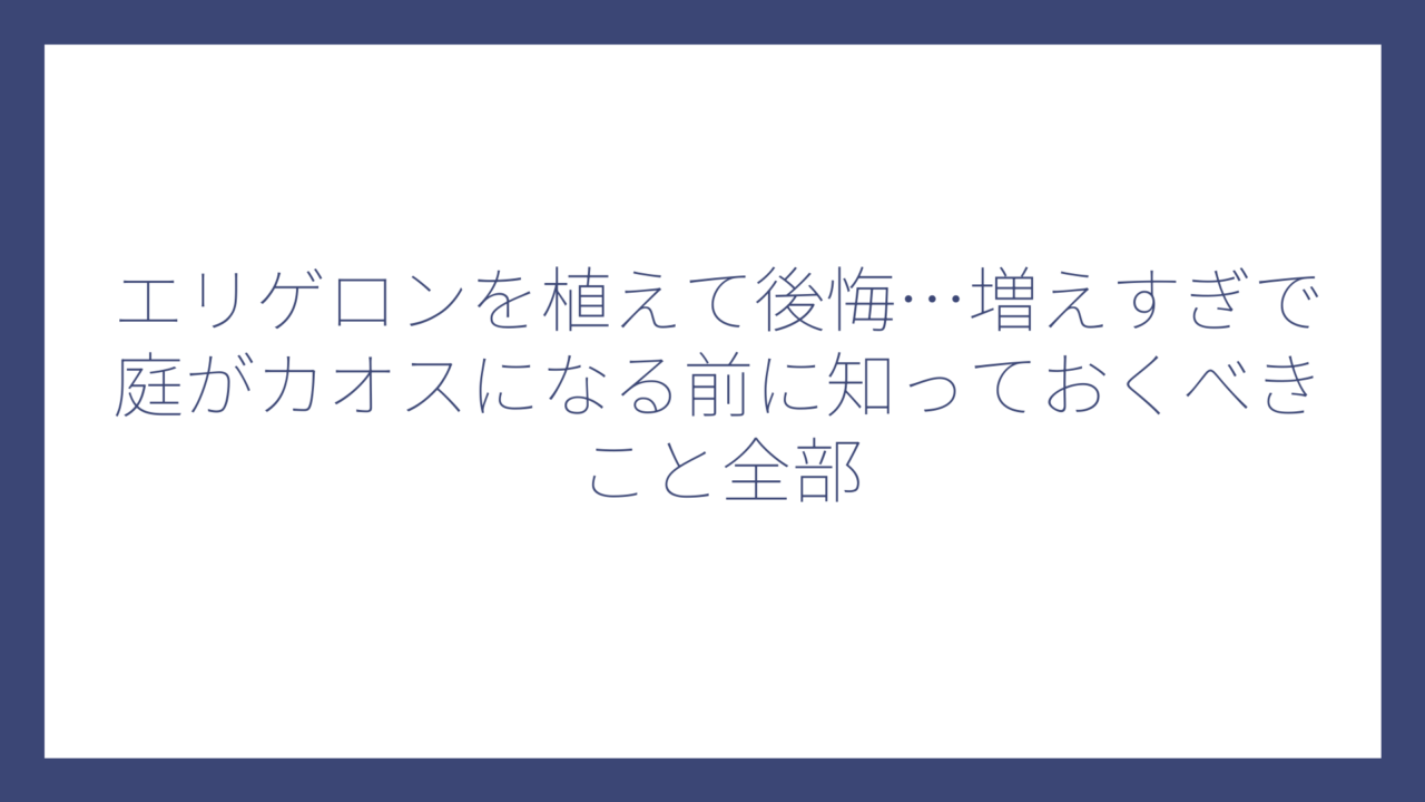 エリゲロンを植えて後悔…増えすぎで庭がカオスになる前に知っておくべきこと全部