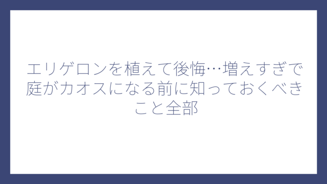 エリゲロンを植えて後悔…増えすぎで庭がカオスになる前に知っておくべきこと全部