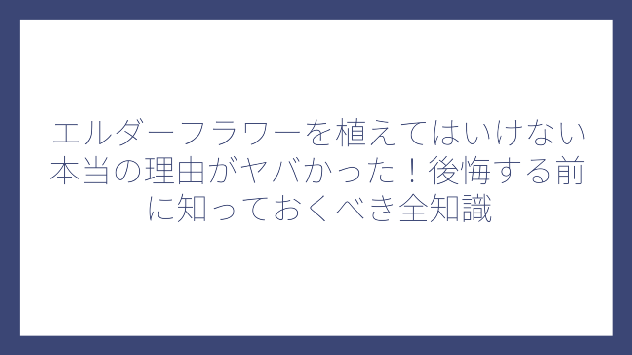 エルダーフラワーを植えてはいけない本当の理由がヤバかった！後悔する前に知っておくべき全知識