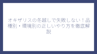 オキザリスの冬越しで失敗しない！品種別・環境別の正しいやり方を徹底解説