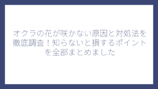 オクラの花が咲かない原因と対処法を徹底調査！知らないと損するポイントを全部まとめました