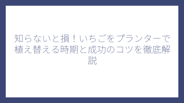 知らないと損！いちごをプランターで植え替える時期と成功のコツを徹底解説