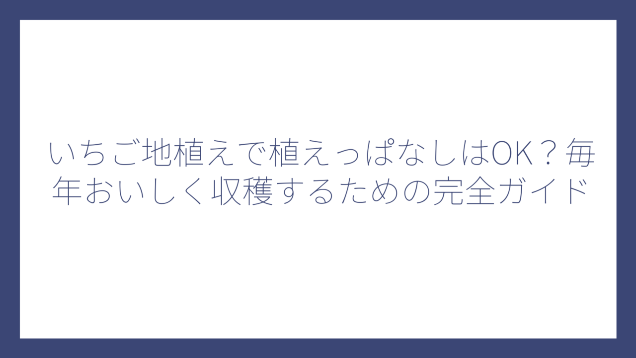 いちご地植えで植えっぱなしはOK？毎年おいしく収穫するための完全ガイド