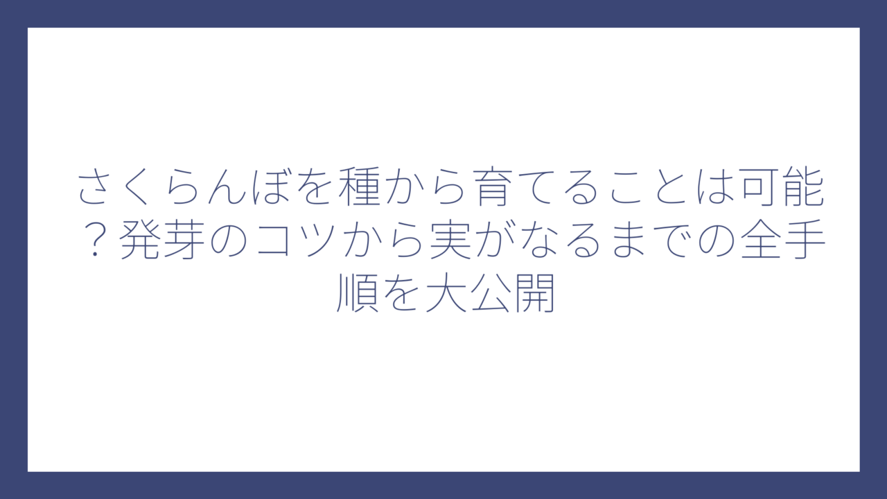 さくらんぼを種から育てることは可能？発芽のコツから実がなるまでの全手順を大公開