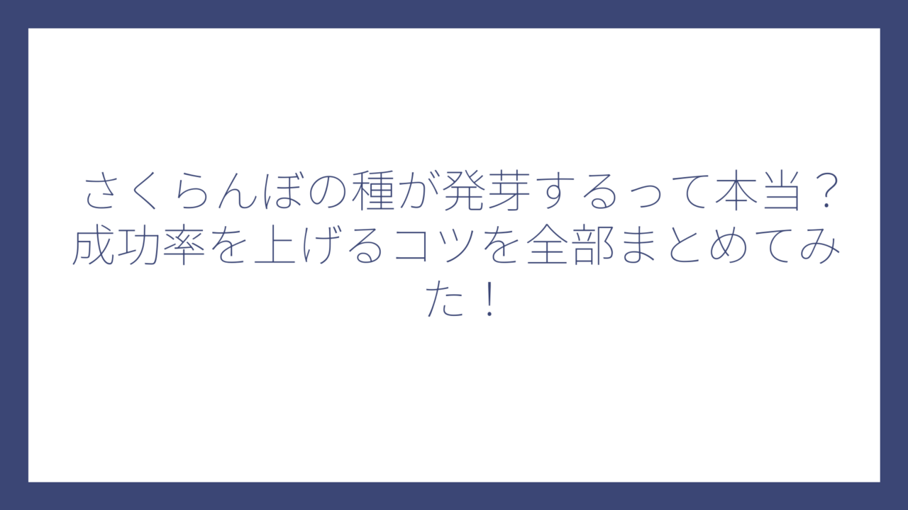 さくらんぼの種が発芽するって本当？成功率を上げるコツを全部まとめてみた！