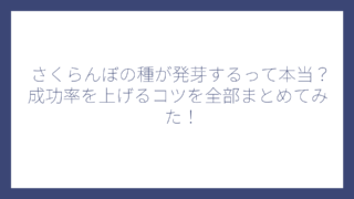さくらんぼの種が発芽するって本当？成功率を上げるコツを全部まとめてみた！