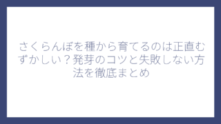 さくらんぼを種から育てるのは正直むずかしい？発芽のコツと失敗しない方法を徹底まとめ