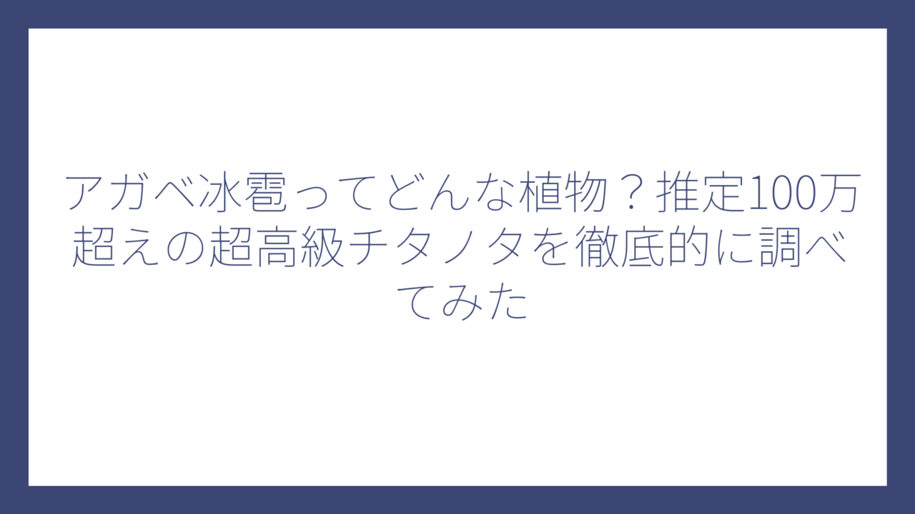 アガベ冰雹ってどんな植物？推定100万超えの超高級チタノタを徹底的に調べてみた