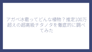 アガベ冰雹ってどんな植物？推定100万超えの超高級チタノタを徹底的に調べてみた